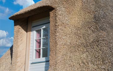 Northedge thatch roof disadvantages